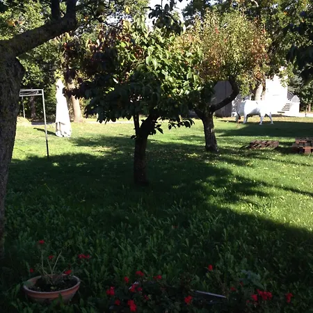 Farm stay Agriturismo Montefiorentino *